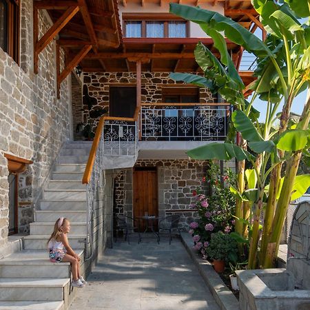 House Draganis Villa Sykia Chalkidikis Buitenkant foto