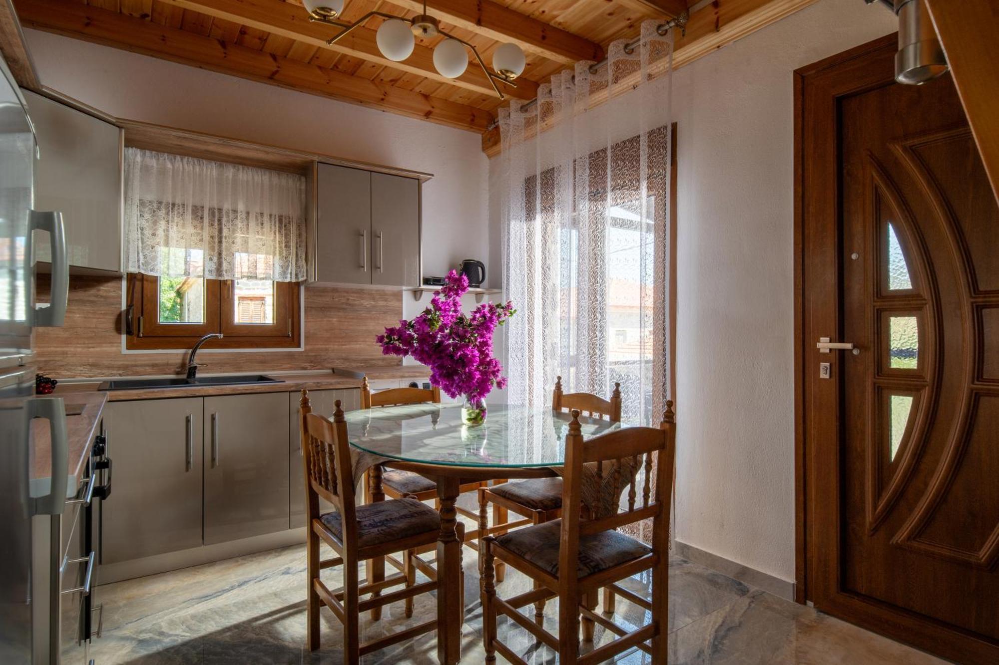 House Draganis Villa Sykia Chalkidikis Buitenkant foto