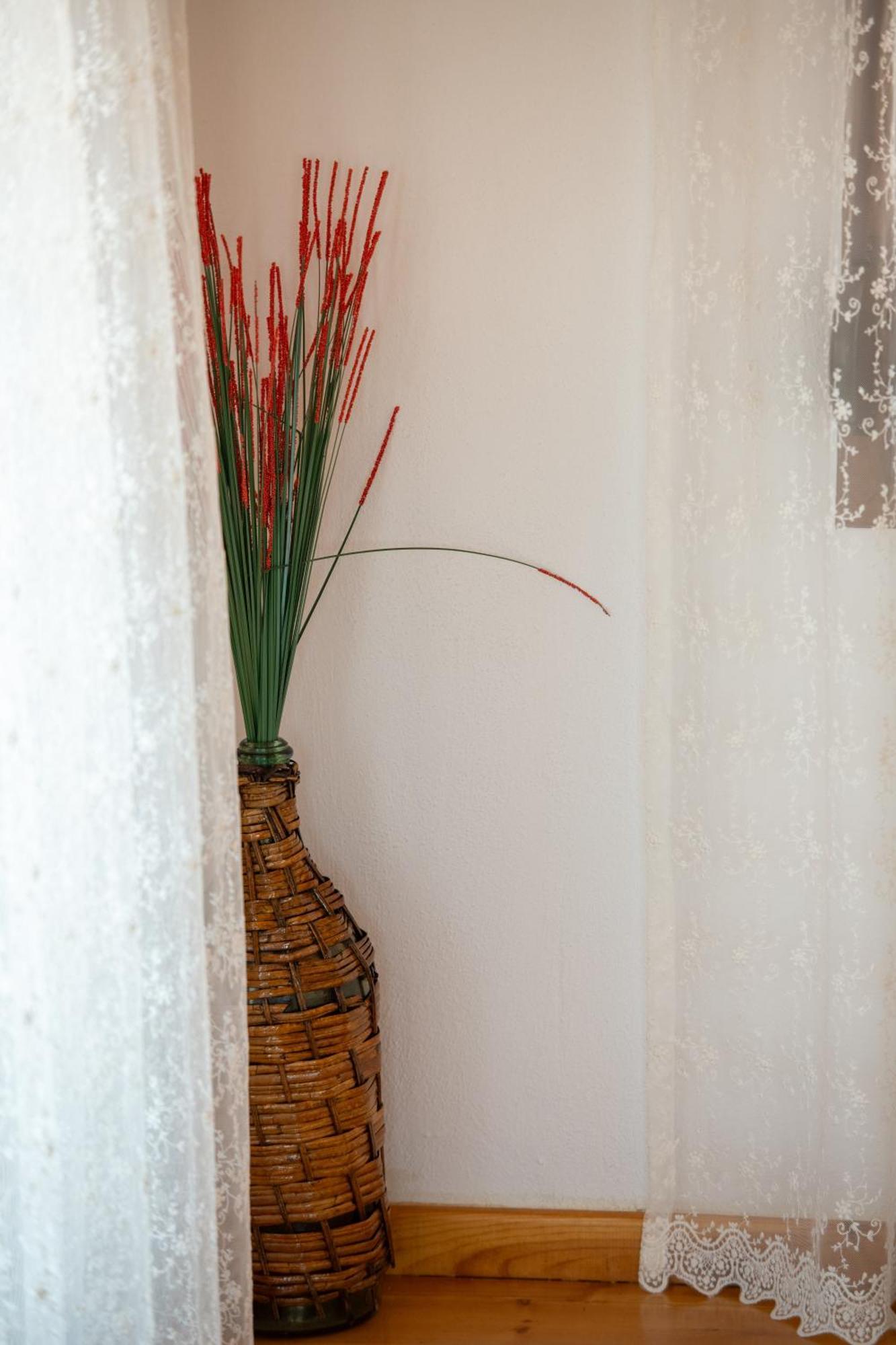 House Draganis Villa Sykia Chalkidikis Buitenkant foto